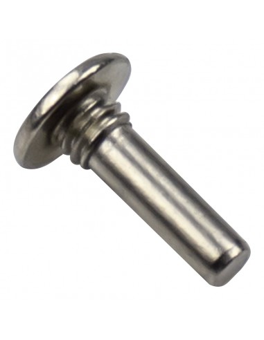 Tornillo Bisagra Neveras Dometic