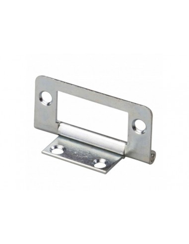 Bisagra Zincada 50x20mm
