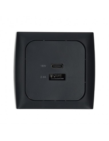 Toma Completa USB-A/USB-C C-Line....