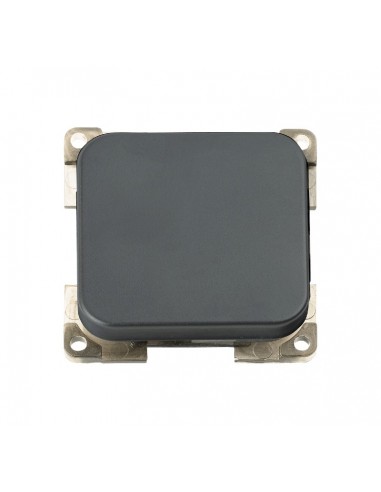 Interruptor C-Line Gris Antracita